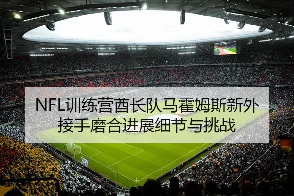 NFL训练营酋长队马霍姆斯新外接手磨合进展细节与挑战